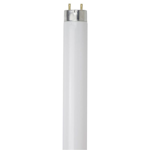 30PK - SUNLITE 25w T8 36inch 6500K High Performance G13 Base Fluorescent Tube Sale